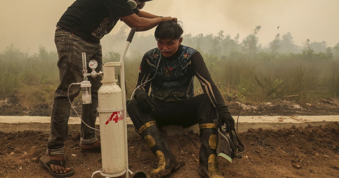 Kryzys na Borneo. Smog z pożarów sprawił, że choruje 300 tys. osób Kryzys na Borneo. Smog z pożarów sprawił, że choruje 300 tys. osób