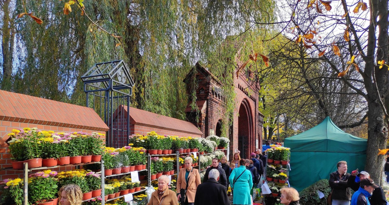 Nie zakładaj takich butów na cmentarz. Przynoszą pecha