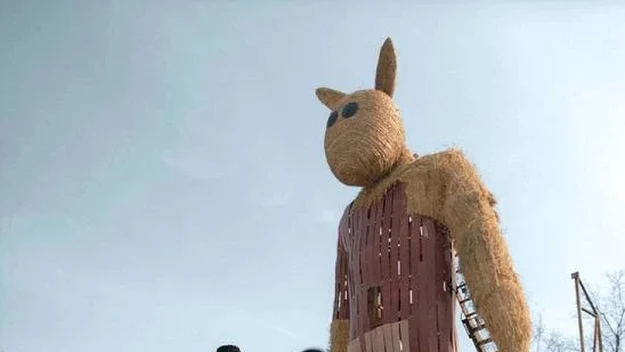 zdjęcie