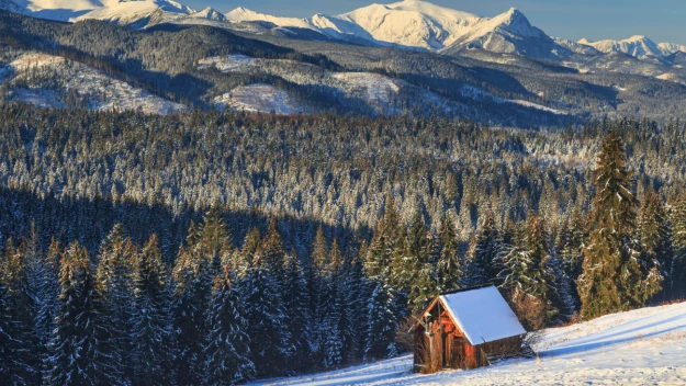 Quiz z polskich przysłów na luty. Znasz je wszystkie?