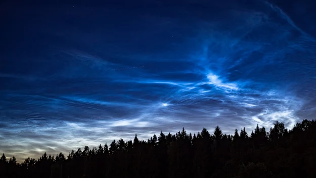 Ciemny pas lasu iglastego na tle rozświetlonego błękitnymi i białymi obłokami, nocnego nieba tuż po zachodzie słońca.
