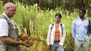 Evangeline Lilly i Harold Perrineau - kadr z serialu "Zagubieni"