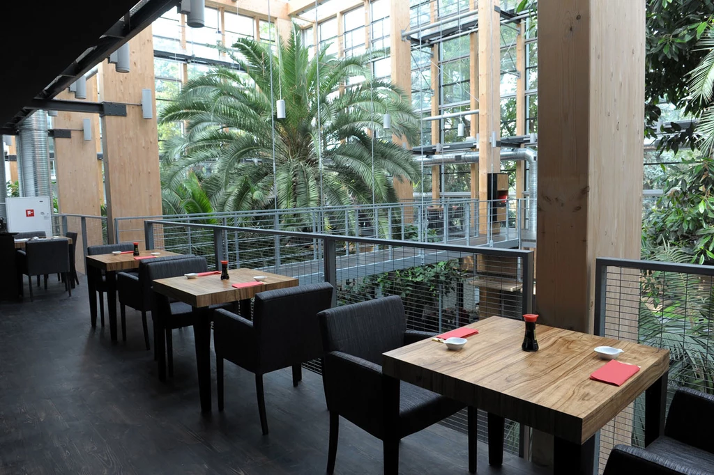 Otwarcie restauracji Izumi Biały Kamień Otwarcie restauracji Izumi Biały Kamień