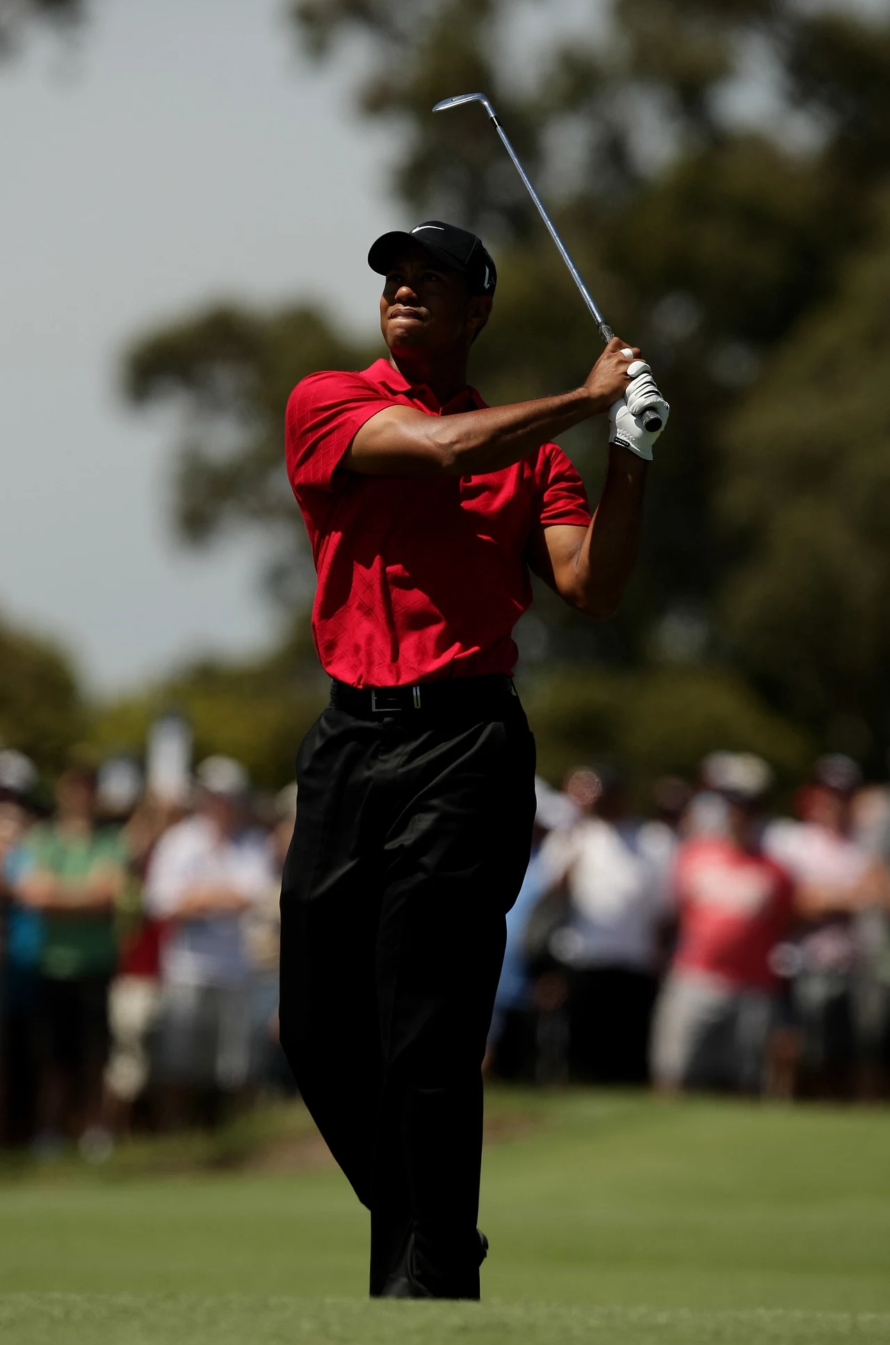 Seksafera z trawką w tle. Jeszcze miesiąc temu Tiger Woods cieszył się opinią najlepszego golfisty świata, najlepiej zarabiającego sportowca w historii, a do tego idealnego ojca i męża. Ten idealny obrazek prysnął jak bańka mydlana. Okazało się, że Woods zdradzał żonę, i to z dziesięcioma kochankami! Zażywał też narkotyki. Teraz reklamodawcy zrywają kontrakty, żona żąda rozwodu, a opinia publiczna miesza Tigera z błotem... 