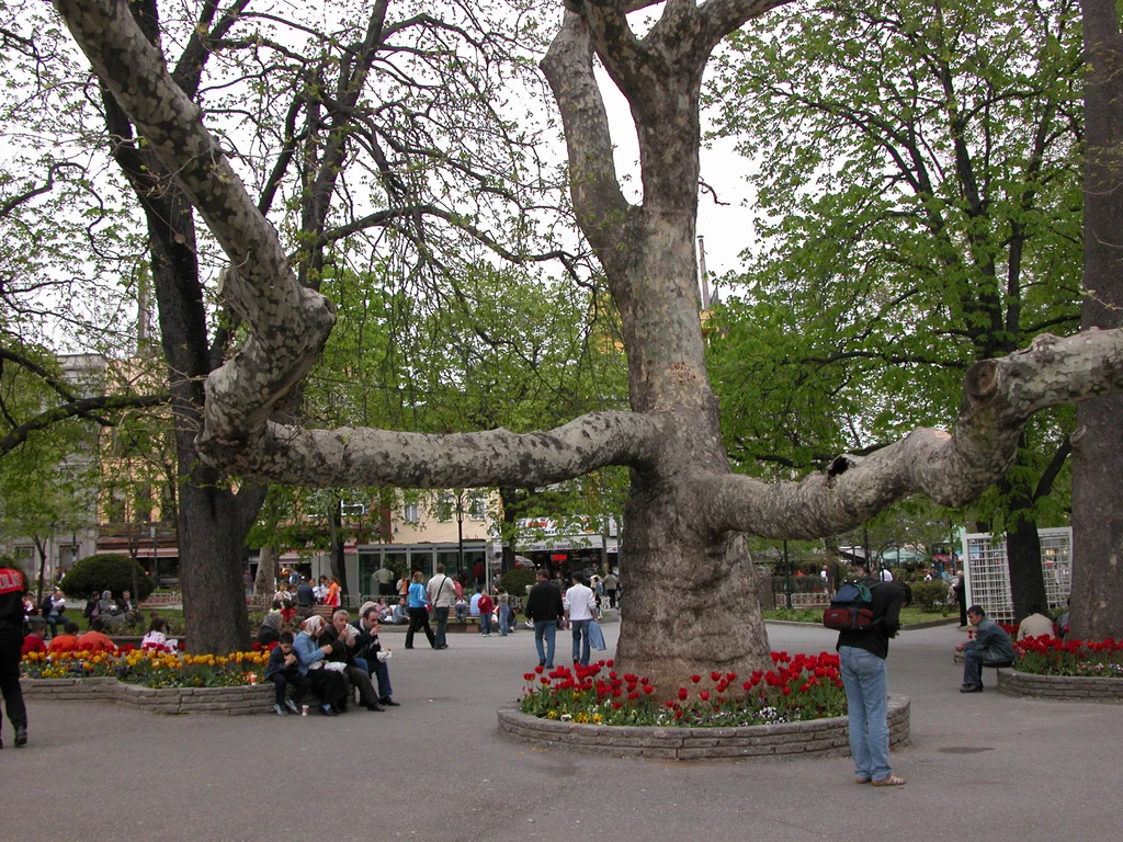 Turcja