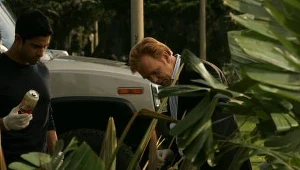 CSI: Kryminalne zagadki Miami: CSI: Kryminalne zagadki Miami 
