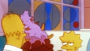 Simpsonowie: Simpsonowie 