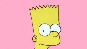 Simpsonowie: Simpsonowie 