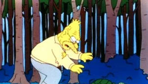 Simpsonowie: Simpsonowie 