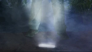 &nbsp;