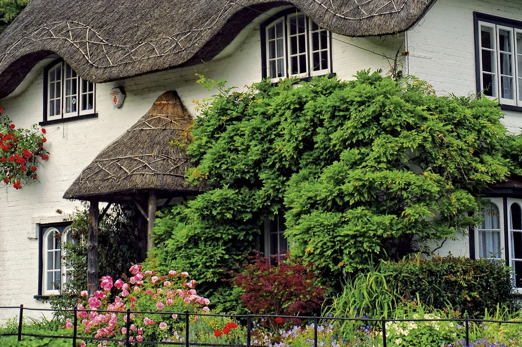 Beehive Cottage - najsławniejszy domek w Lyndhurst. Jest wart pół miliona funtów