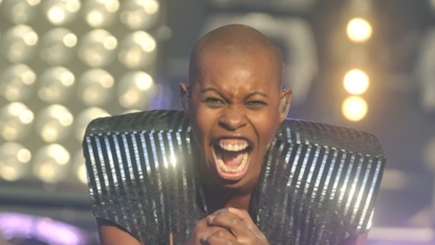 Skunk Anansie