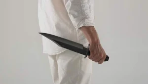 &nbsp;