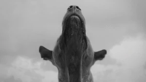 &nbsp;