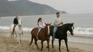 Agenci NCIS 