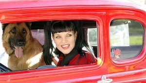 Agenci NCIS 