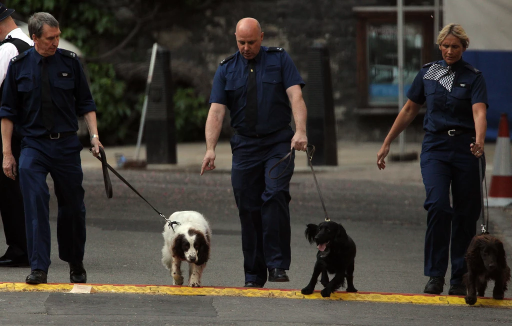 Policja sprawdza trasę przejazdu orszaku ślubnego Policja sprawdza trasę przejazdu orszaku ślubnego