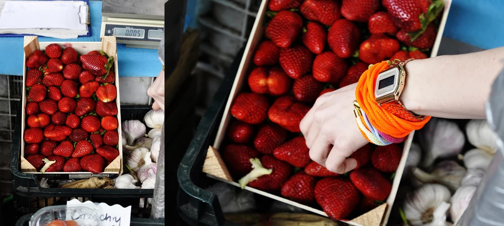 Linia bransolet i naszyjników to absolutny triumf koloru, świeżości i najnowszych trendów. 