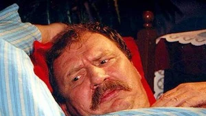 Świat według Kiepskich 