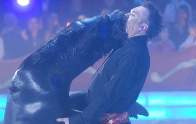 Żenada roku: "Wydra całuje się z foką" Żenada roku: "Wydra całuje się z foką"