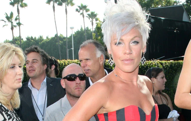 Pink, fot. Dave Hogan