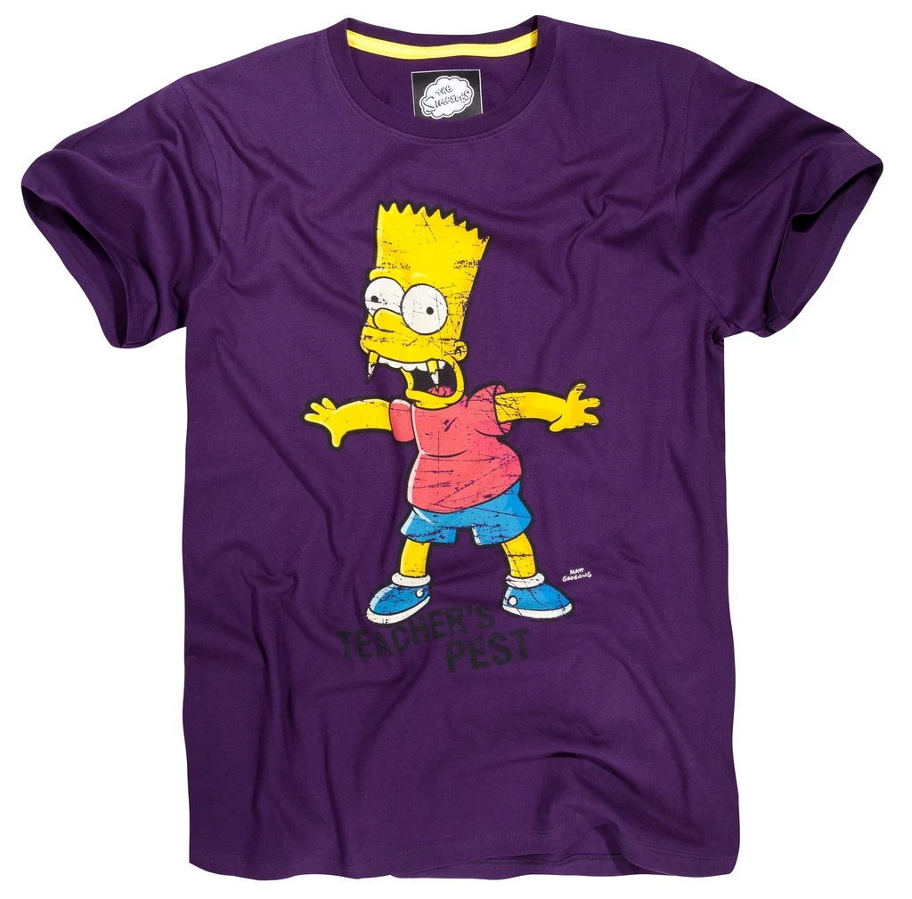 Kolekcja House – The Simpsons Kolekcja House – The Simpsons