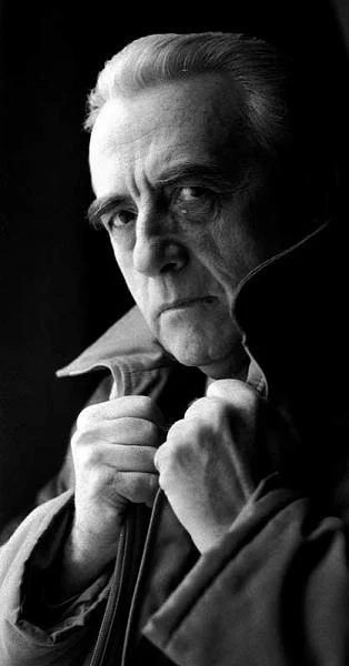 fot.Wasyluk fot.Wasyluk