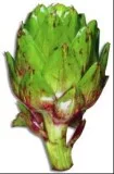 Zupa kremowa i szparagi w sosie holenderskim - to tylko niektóre smakołyki ze świeżych szparagów Zupa kremowa i szparagi w sosie holenderskim - to tylko niektóre smakołyki ze świeżych szparagów