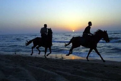 Konie, plaża, zachód słońca. Trudno wyobrazić sobie piękniejszą scenerię dla wakacyjnego romansu
