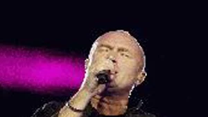 Phil Collins