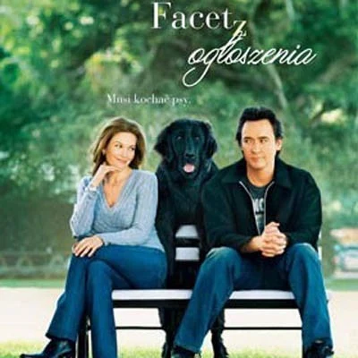 Plakat filmu "Facet z ogłoszenia" Plakat filmu "Facet z ogłoszenia"