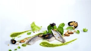 Śledź norweski z bazyliowym pesto, brokułami i małżami