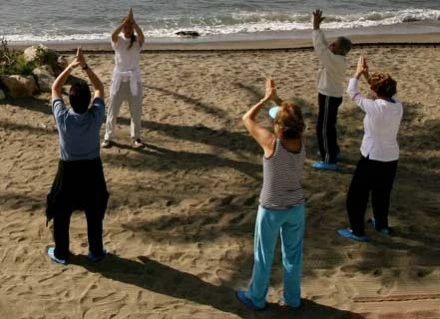 Tai chi to ciąg płynnych ćwiczeń, rodem z Chin, zamkniętych w 108 ruchów układu podstawowego.