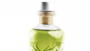 Olejek Bath & Massage Oil Eucaliptus & Mint