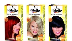 Palette Color Shampoo