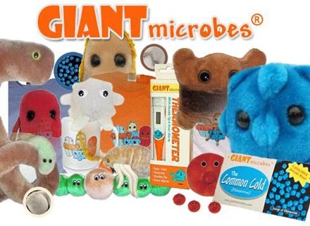 fot. www.giantmicrobes.com