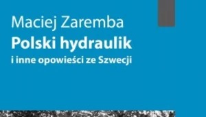 Polski hydraulik i inne opowieści ze Szwecji
