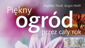 Piękny ogród przez cały rok