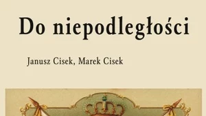 Do niepodległości