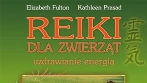 Reiki dla zwierząt