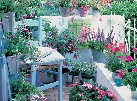 Z powodu cienia nie musisz rezygnować z wszystkich roślin na balkonie