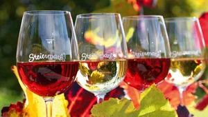 Styryjskie wina zyskują uznanie na całym świecie fot. Steiermark Tourismus