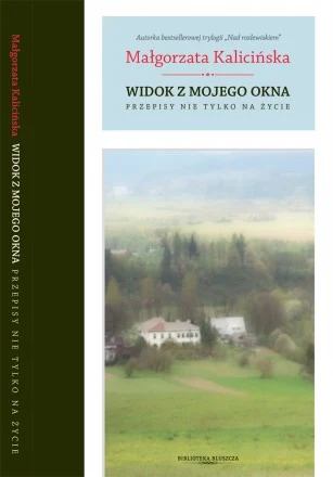 Widok z mojego okna