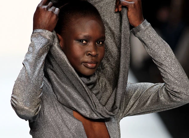 Alek Wek