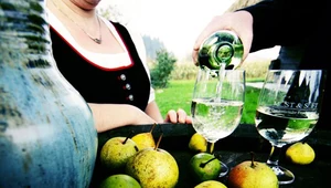 Foto: weinfranz.at