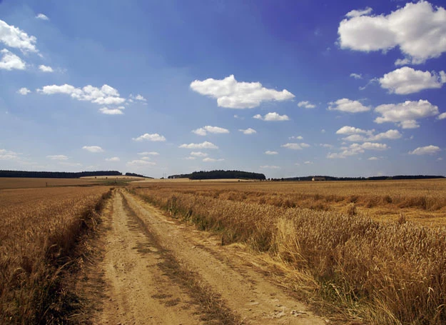 Raz byłam w Warszawie, kilka lat temu, jak jechałam do rodziny do Ustronia...