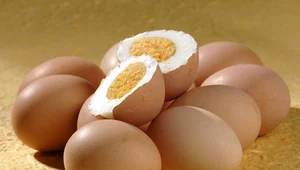 uże spożycie jaj nie wpływa negatywnie na stężenie cholesterolu we krwi