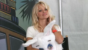 Pamela Anderson kieruje organizacją PETA, broniącą praw zwierząt