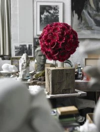 Styl klasyczny. Pieczennik, mini gerbera i cantedeskia. Kompozycja przyciąga wzrok na tle stonowanej szarości. Pieczennik, mini gerbera oraz cantedeskia tworzą ciekawą, naturalną formę. Czerwony kolor podkreśla okrągłą bryłę kwiatową. 