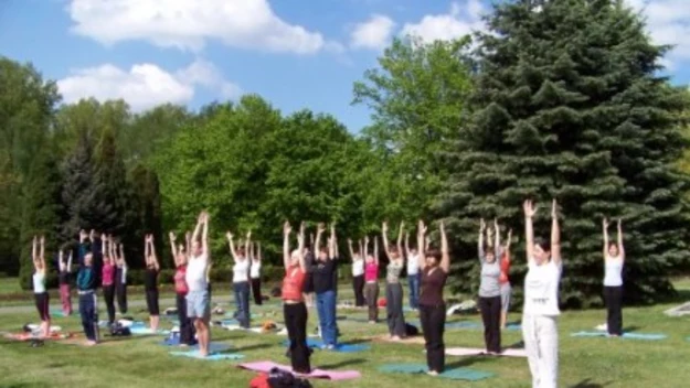 Joga na trawie w Katowicach